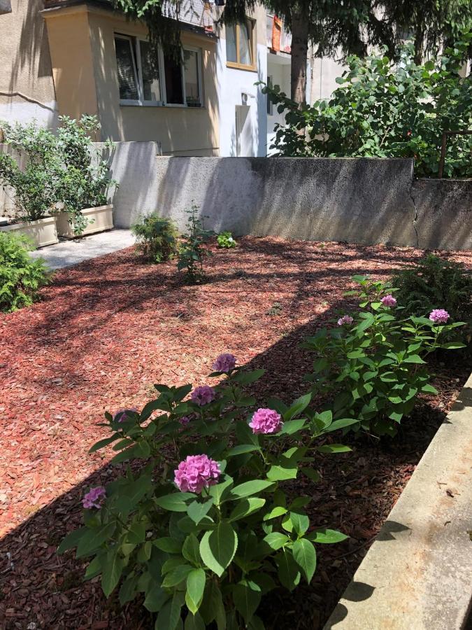 Rakuscha Apartment Zagreb Dış mekan fotoğraf
